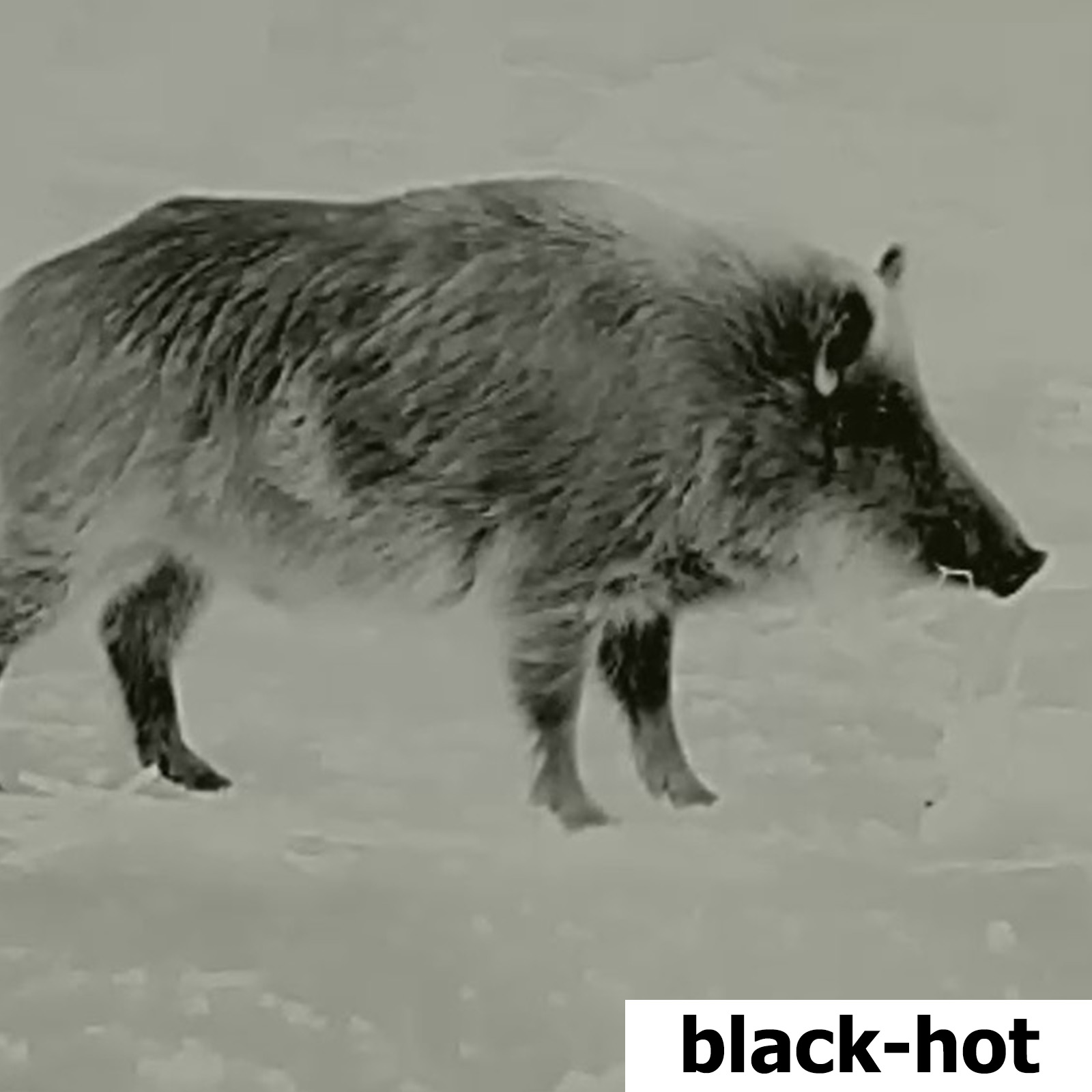 AKAH Nachtsichtgeräte von Lahoux Spotter NL 625 50767000