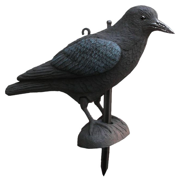 AKAH Lockvögel von Revieralarm Lockvogel Krähe 71620000