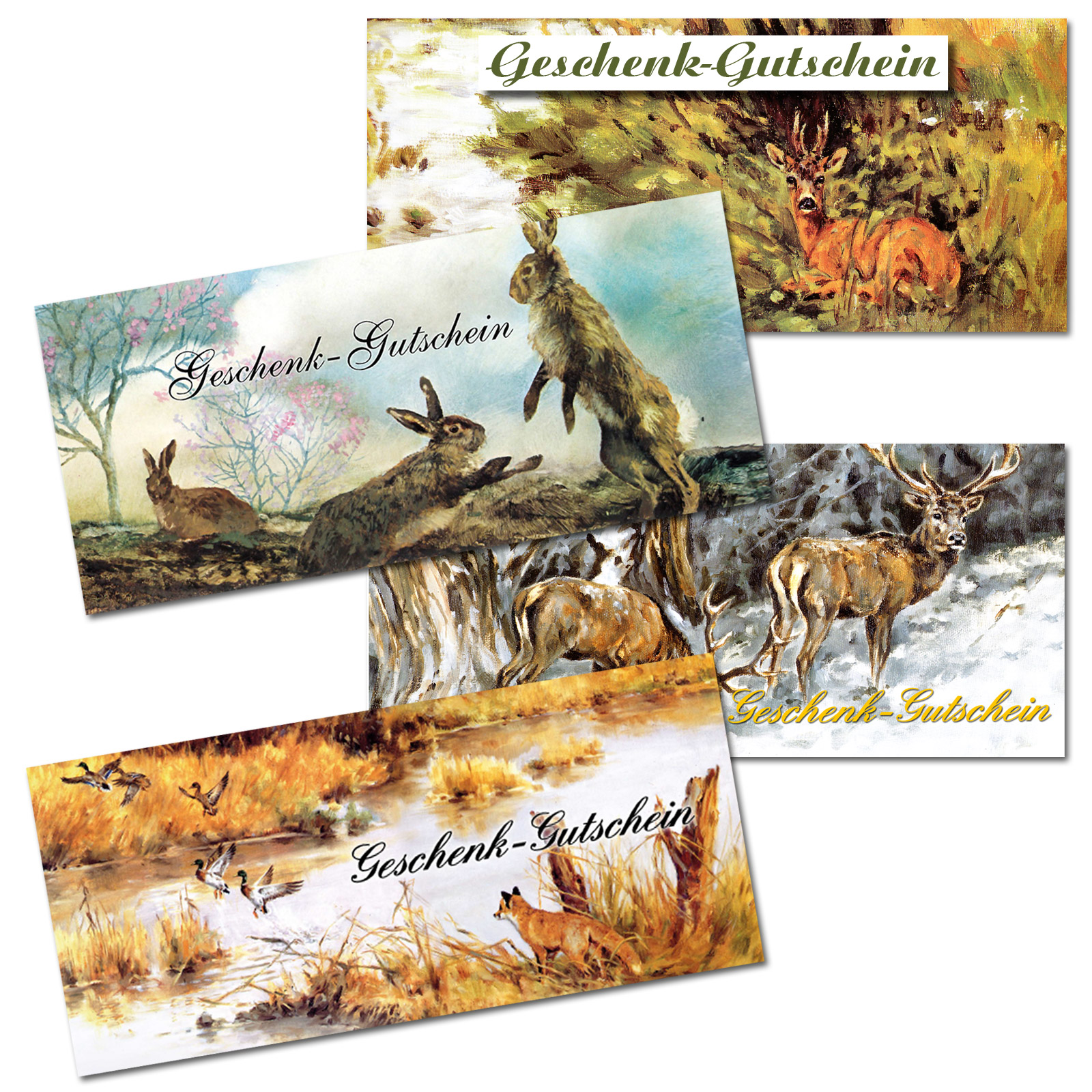 AKAH Bücher + Grußkarten von Revieralarm Geschenkgutscheine à 8 Stück 78464000