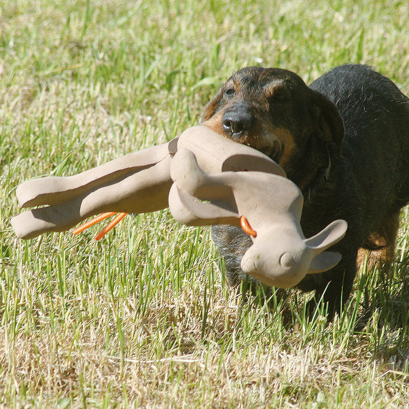 AKAH Ausbildung von Waidwerk Apportier-Kaninchen 96461000