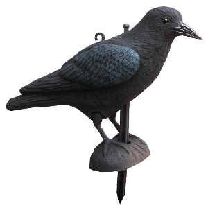 Lockvögel für die Jagd von AKAH Lockvogel Krähe 71620000