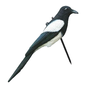 Lockvögel für die Jagd von AKAH Lockvogel Elster 71621000