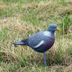 Lockvögel für die Jagd von AKAH Lockvogel Ringeltaube 71625000