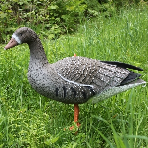 AKAH Lockvögel von revieralarm Lockvogel Blässgans 71681000