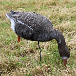 AKAH Lockvögel von revieralarm Lockvogel Blässgans 71681000