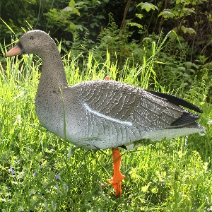 AKAH Lockvögel von revieralarm Lockvogel Saatgans 71682000