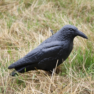 AKAH Lockvögel von revieralarm Lockvogel Krähe unbemalt 71683000