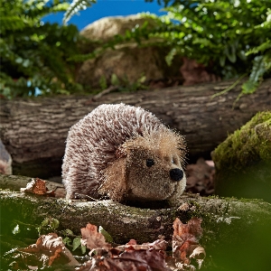 AKAH Artikel von revieralarm Plüschtier Igel 78265000