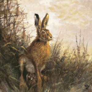 Besondere Geschenke von revieralarm Jagdservietten Hase 78525000