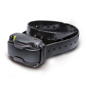 DOGTRA Zusatzhalsband für 640/642C