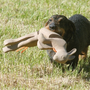 Ausbildung für Hunde und Jagdhunde von AKAH WAIDWERK Apportier-Kaninchen 96461000